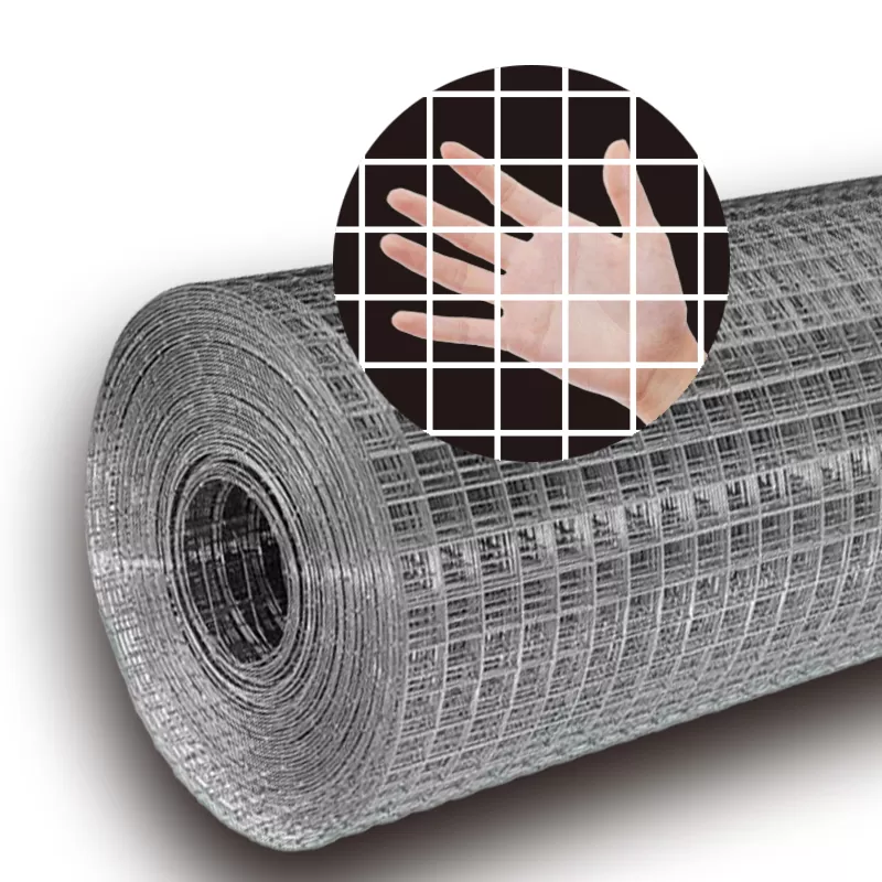 Galvanized Welded Wire Mesh
