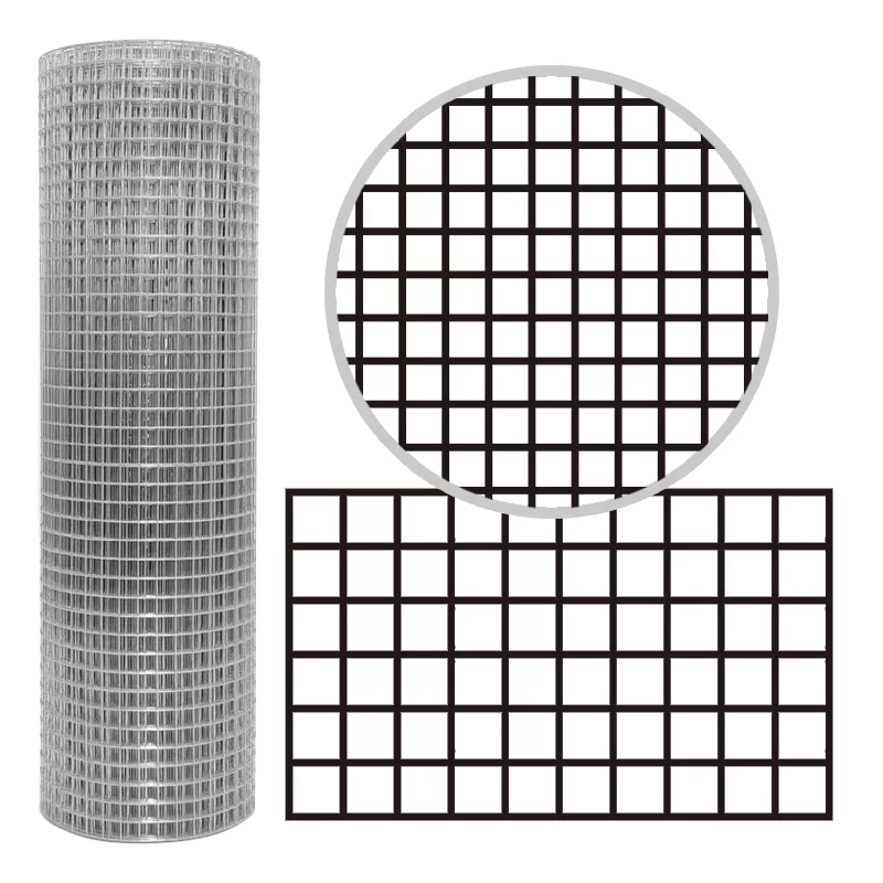 Galvanized Welded Wire Mesh